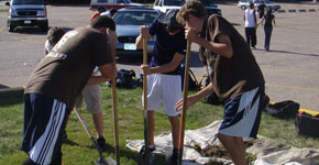 Tree planting project helps to improve TJ "curb appeal."